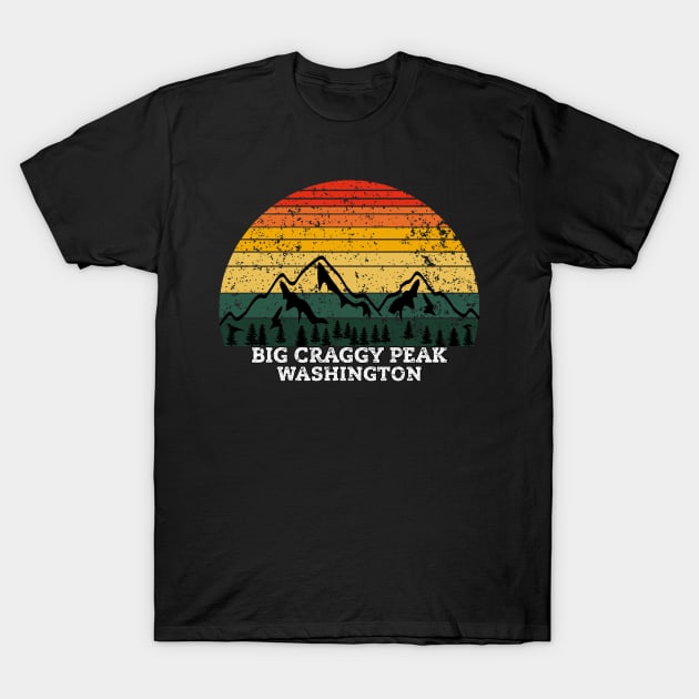 Big Craggy Peak Washington T-Shirt by Kerlem